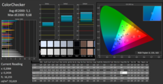 CalMAN Color Checker - Before calibration