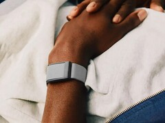 O rastreador da Whoop aparentemente tem problemas significativos (Fonte da imagem: Whoop)