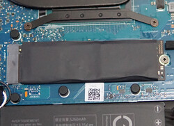 SSD PCIe 4.0 da Samsung
