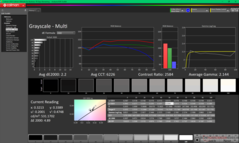 Escala de cinza antes da calibração (P3)