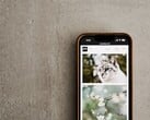 Smartphone sobre uma superfície cinza com uma galeria de fotos de gatos e flores na tela