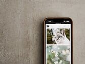 Smartphone sobre uma superfície cinza com uma galeria de fotos de gatos e flores na tela