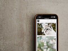 Smartphone sobre uma superfície cinza com uma galeria de fotos de gatos e flores na tela