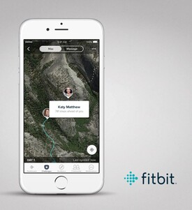 (Fonte de imagem: Fitbit)