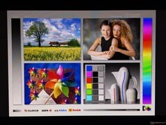 Amplos ângulos de visão do OLED
