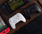 a 8BitDo aconselha os usuários a atualizar o firmware de seu controle compatível antes de conectá-lo ao Nintendo Switch 2. (Fonte da imagem: 8BitDo)