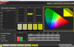 CalMAN saturação calibrada