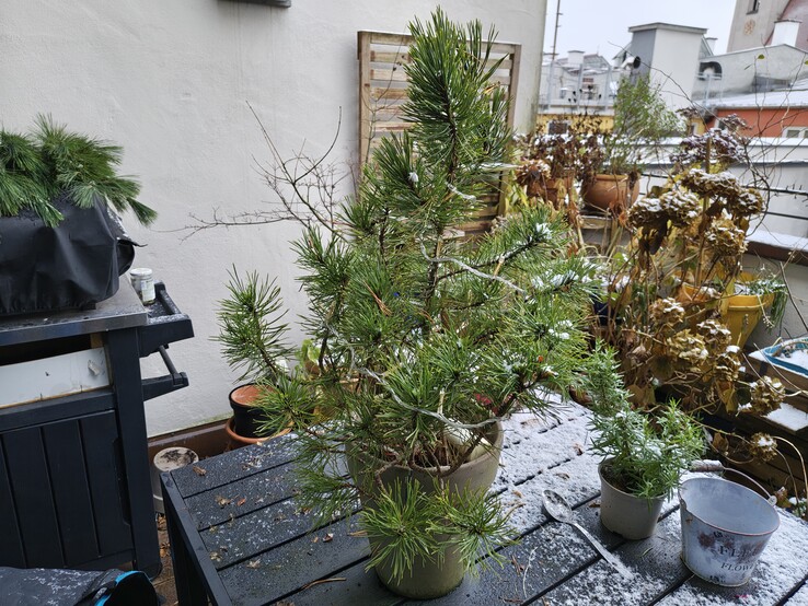 Foto com a câmera principal