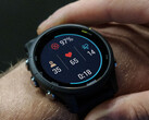 A Garmin Forerunner série 255 recebeu sua primeira construção beta. (Fonte da imagem: Garmin)