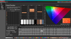 ColorChecker após a calibração