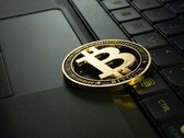 Duas plataformas de empréstimo criptográfico foram direcionadas para parar as negociações em Nova York (Fonte: Jievani Weerasinghe on Unsplash)