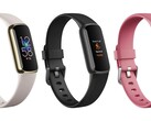 O Fitbit Luxe combina hardware de alta qualidade em um chassi fino. (Fonte da imagem: Roland Quandt e WinFuture)