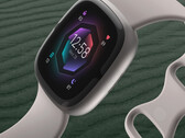 O Google está lentamente eliminando as contas Fitbit. (Fonte de imagem: Fitbit)