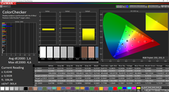 CalMAN ColorChecker (calibrado)