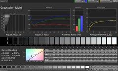 Escala de cinza CalMAN