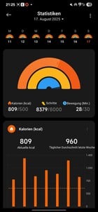 Atividade da Xiaomi Smart Band 10