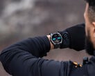 Ainda não se sabe se a Garmin também vai criar novos recursos para os smartwatches existentes, como o Fenix 8. (Fonte da imagem: Garmin)