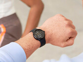 O Pixel Watch 2 LTE é o único Pixel Watch SKU a receber a atualização deste mês até o momento. (Fonte da imagem: Google)