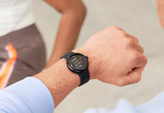 O Pixel Watch 2 LTE é o único Pixel Watch SKU a receber a atualização deste mês até o momento. (Fonte da imagem: Google)