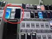 A tábua não anunciada do Oppo foi manchada na natureza
