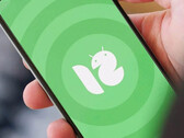 Espera-se que Xiaomi traga Android 12 para inúmeros dispositivos, mas não a série Redmi K20 ou Mi 9. (Fonte da imagem: Xiaomiadictos)