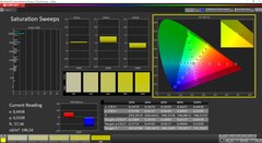 CalMAN Saturação calibrada (DCI P3 target color space)