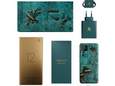 O Xiaomi 12T Pro Daniel Arsham Edition vem com uma caixa correspondente e acessórios. (Fonte da imagem: Xiaomi)