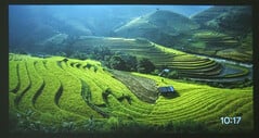 O TCL C1 exibe fotos em paisagem no modo de proteção de tela. (Fonte da imagem: Notebookcheck)