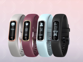 O Garmin Vivosmart 4. (Fonte: Garmin)