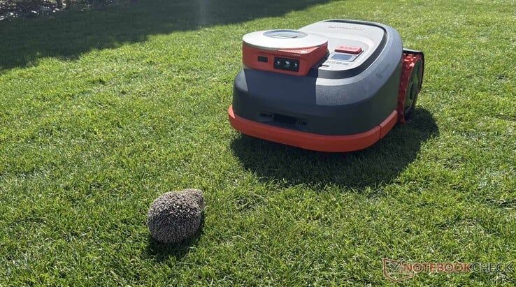 O Navimow H2 detectou com precisão nosso ouriço falso durante os testes.