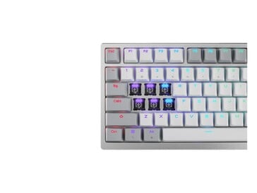 Ele também possui iluminação RGB voltada para o norte. (Fonte da imagem: Asus)