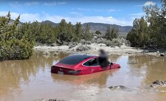 O FSD da Tesla levou esse Modelo 3 em particular a um túmulo aquático. (Fonte da imagem: Wham Baam Teslacam no YouTube)