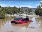 O FSD da Tesla levou esse Modelo 3 em particular a um túmulo aquático. (Fonte da imagem: Wham Baam Teslacam no YouTube)