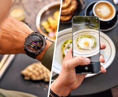 O Garmin Connect nem sempre reconhece de forma confiável os alimentos nos testes iniciais. (Fonte da imagem: Garmin)