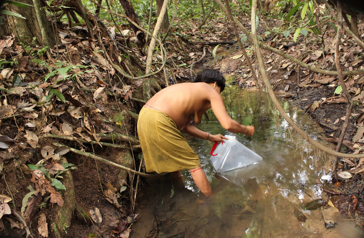 Mulher buscando água em um rio (imagem: Fundação Yanomami)