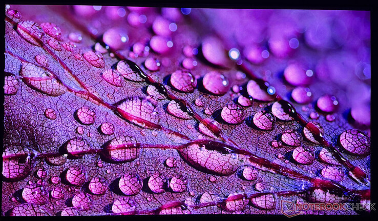 O iPhone 16 Pro usado só pode capturar a qualidade de imagem do Aetherion Max até certo ponto.