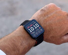 O Venu X1 ganhou vários novos recursos com sua última atualização beta. (Fonte da imagem: Garmin)