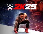 Banner do WWE 2K25 (Fonte da imagem: Sony PlayStation, Take-Two Interactive com edições)