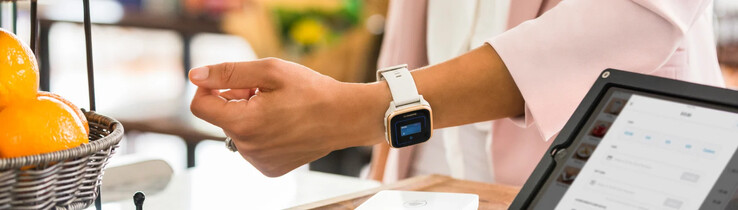 O recurso Garmin Pay (mostrado acima) será renomeado como Garmin Wallet. (Fonte da imagem: Garmin)