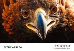O Find X6 Pro: um mestre da telefoto? (Fonte: OPPO)