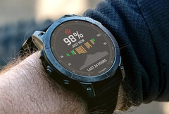 O Fenix 7X recebeu sua primeira versão beta. (Fonte da imagem: Garmin)