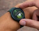 Alguns usuários do smartwatch da Garmin não estavam recebendo vibrações para notificações após uma atualização recente do aplicativo. (Fonte da imagem: Garmin)