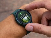 Alguns usuários do smartwatch da Garmin não estavam recebendo vibrações para notificações após uma atualização recente do aplicativo. (Fonte da imagem: Garmin)