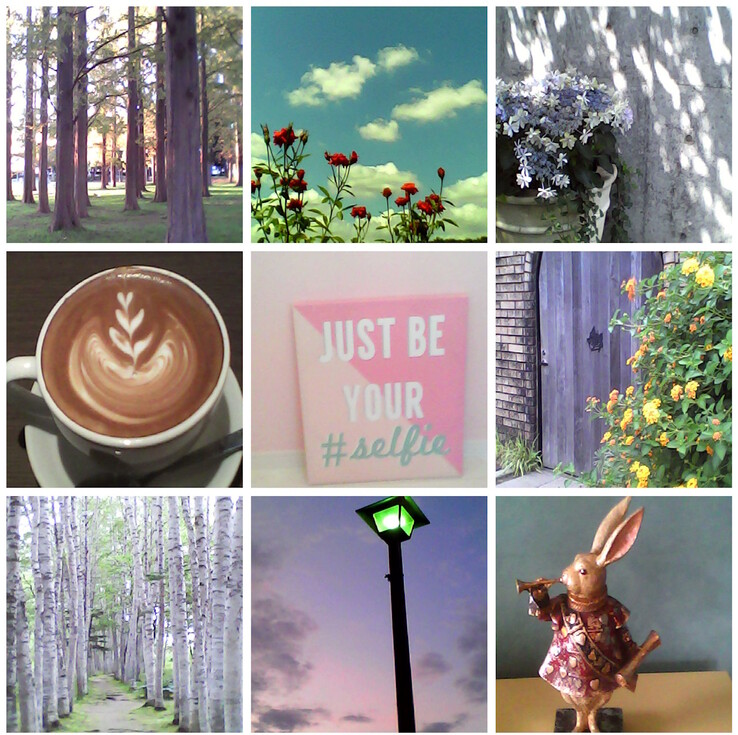 Exemplo de fotos tiradas com a câmera de brinquedo Kenko Tokina Pieni II. (Fonte da imagem: Kenko Tokina)