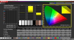 CalMAN ColorChecker calibrado (espaço de cor alvo P3)