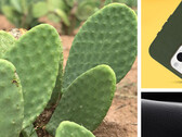 Cactos: agora para proteção de smartphones. (Fonte: Otterbox)