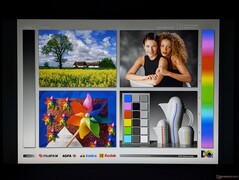 Amplos ângulos de visão IPS