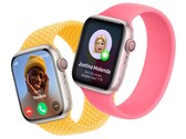 O Apple Watch está recebendo outra atualização para correção de bugs. (Fonte da imagem: Apple)