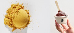 Solar Foods A proteína Solein produzida por microorganismos pode ser usada para produzir alimentos ecologicamente corretos. (Fonte: Solar Foods)
