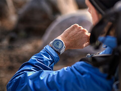 A Garmin está gradualmente se preparando para lançar uma nova atualização estável para seus smartwatches mais antigos. (Fonte da imagem: Garmin)